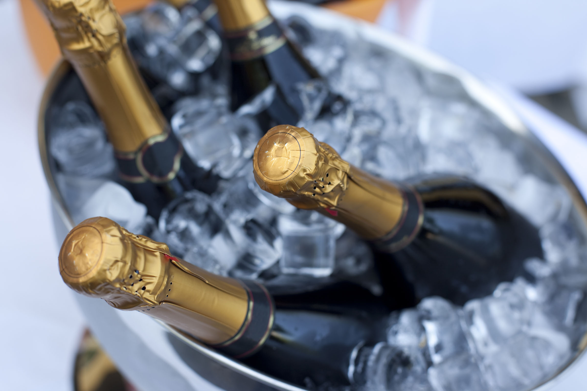 Ritz Carlton Yacht Collection Ritz Carlton Yacht CHAMPAGNE-1.jpg